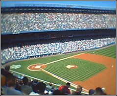 yankee3.jpg